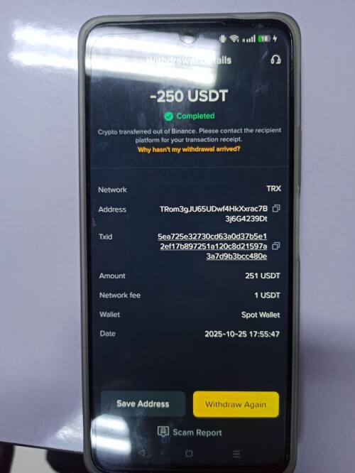 f5156asd15af15a61.jpg